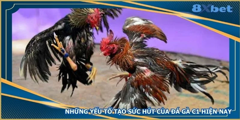 nhung-yeu-to-tao-suc-hut-cua-da-ga-c1-hien-nay